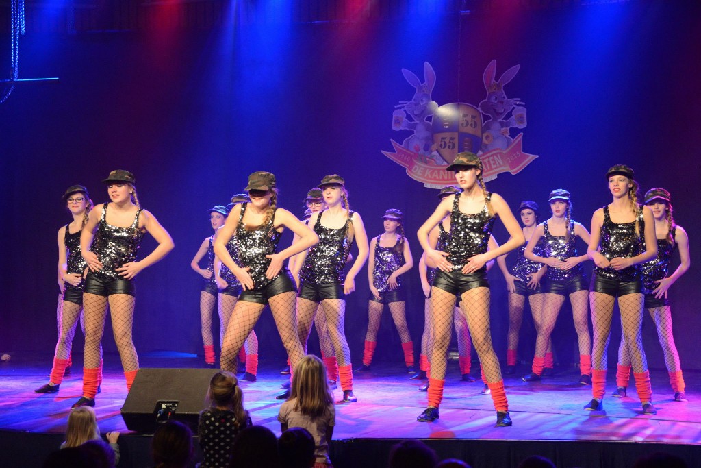 ../Images/Dansmarieke festival 2015 525.jpg